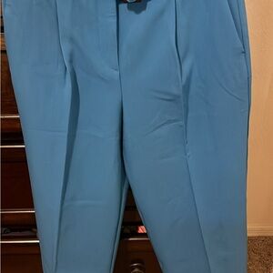 Ann Taylor Dress Pants NWT